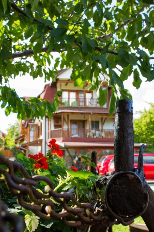 Kaktusz Villa Hévíz Exterior foto